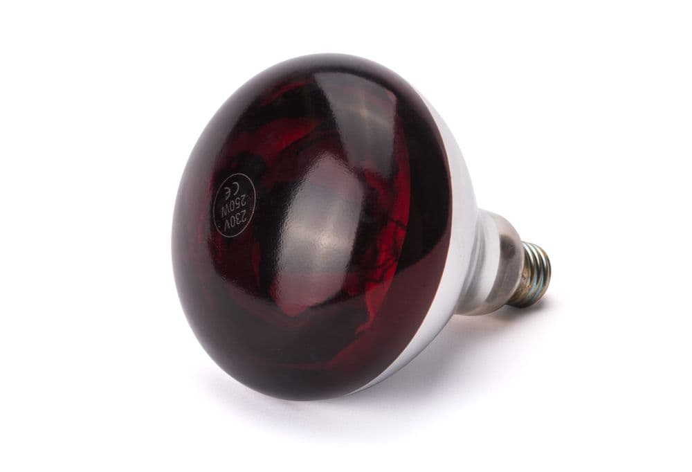 Infravörös izzó - Piros - 230V/250W - ⌀125x(H)170mm - 3