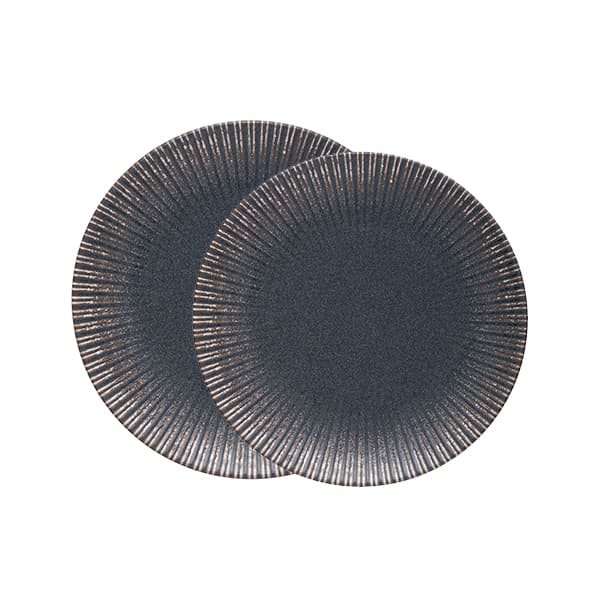 Reckless Flat Plate 15 cm - 2